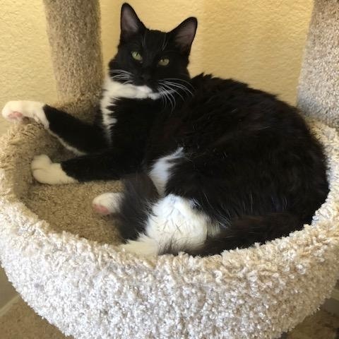 Franklin INDOOR ONLY