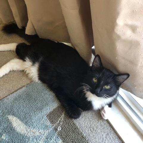 Franklin INDOOR ONLY