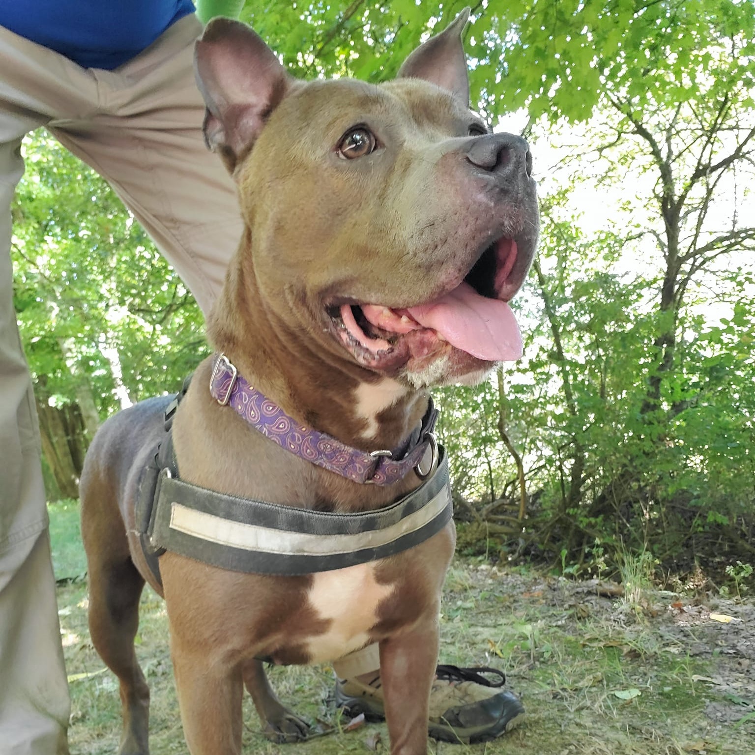 Winnie photo 2