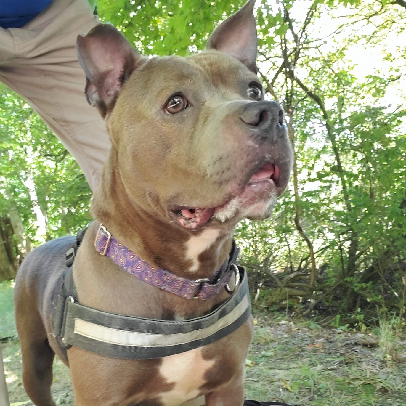 Winnie photo 4