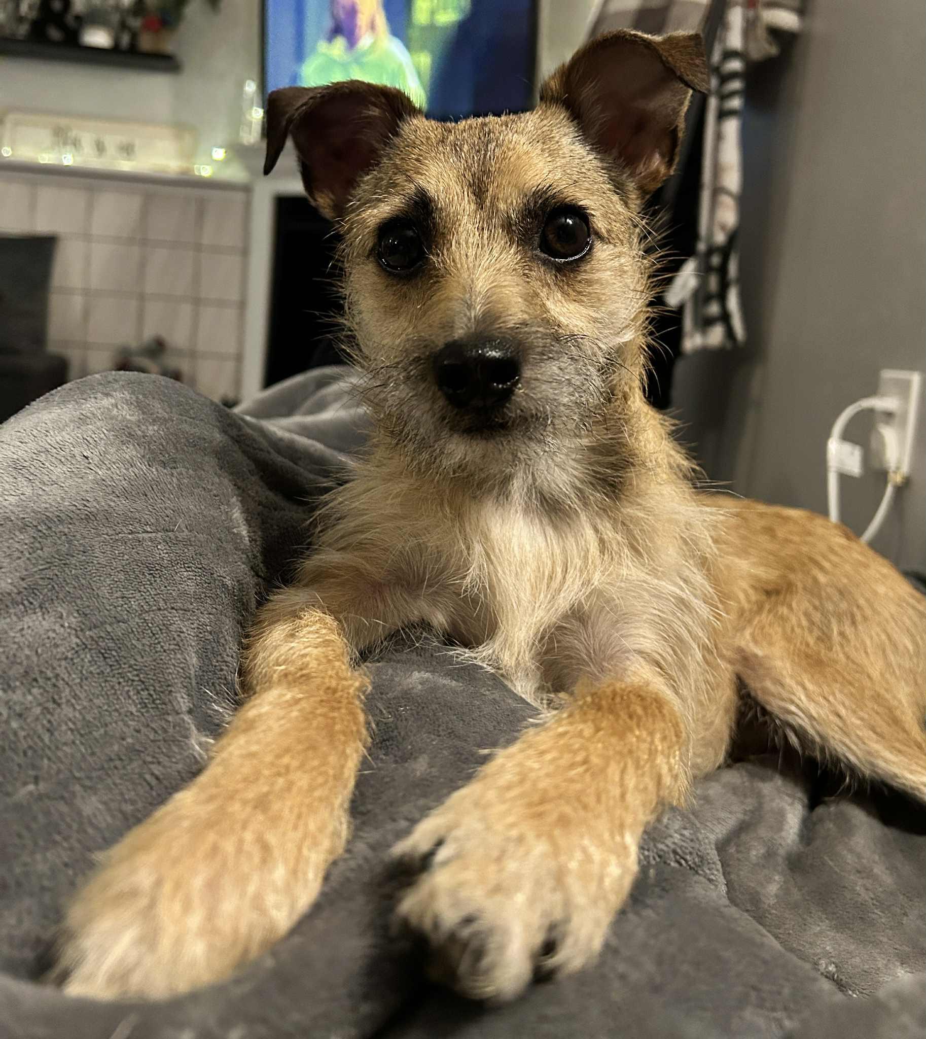 Zeus