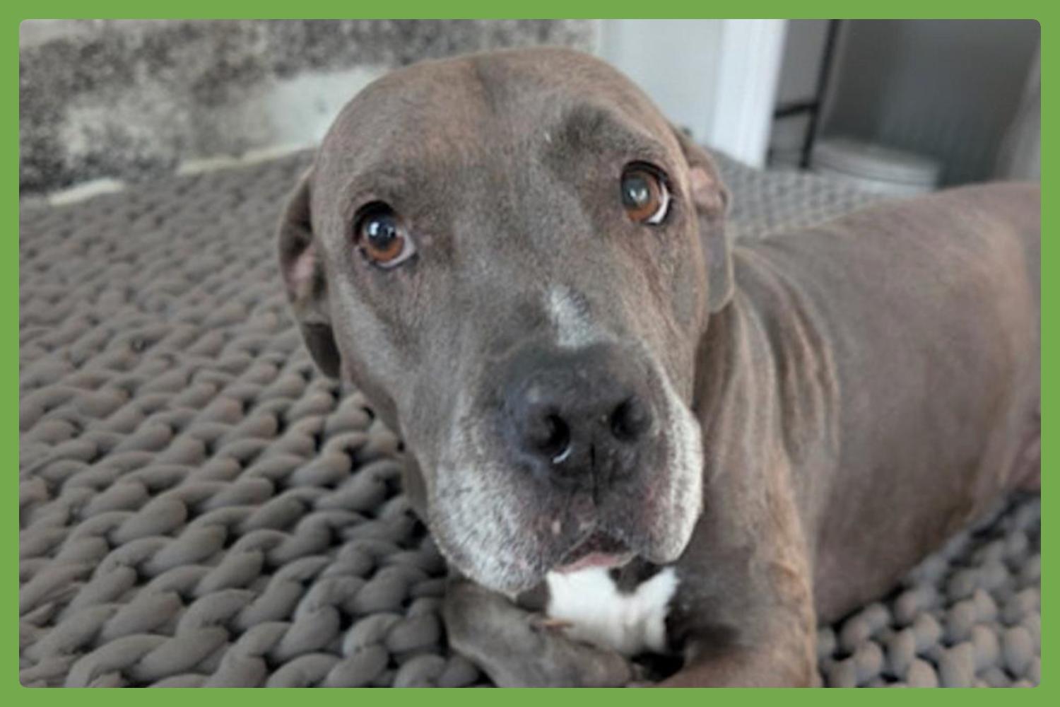 Cindy — thumbnail 4