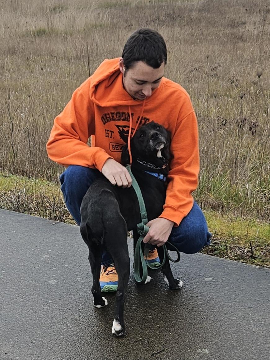 Audrey, an adopted mixed breed in Junction City, OR image 3/6