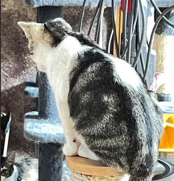 Mel Groth thumbnail 2