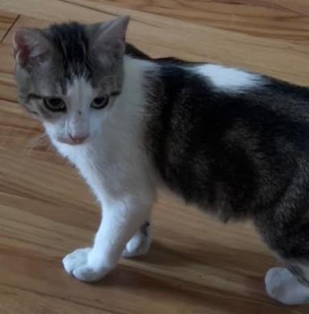 Mel Groth thumbnail 3