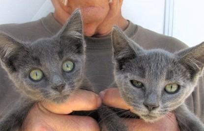 Bonnie & Clyde BONDED sibs