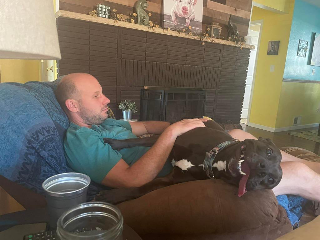 Gypsy Rose, a Adoptable Pit Bull Terrier image 5/6