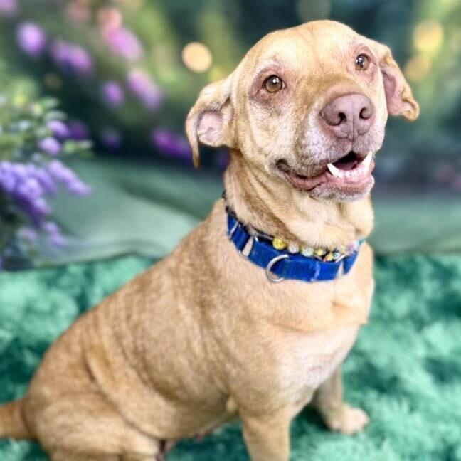 Matilda — thumbnail 2