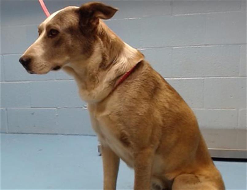 SAVE ME PLEASE - MALINDA - ID#A543669