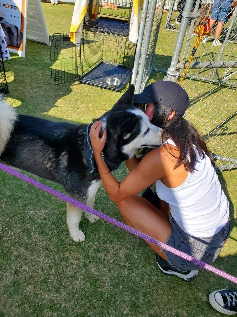 Kodak Cody Hugs & Nuzzles 3