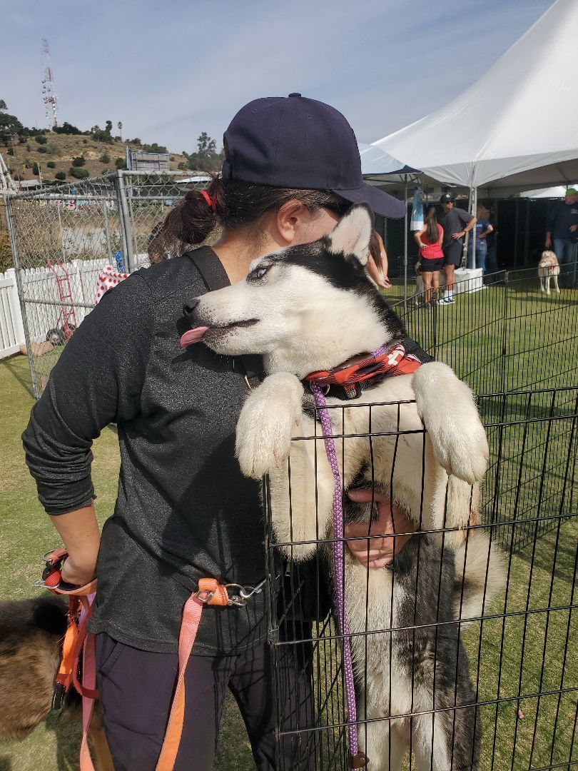 Kodak Cody Hugs & Nuzzles 6