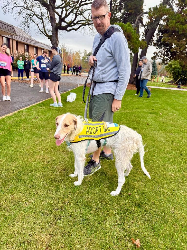 Kau'i Boy, a Adoptable mixed breed in Newberg, OR image 5/6