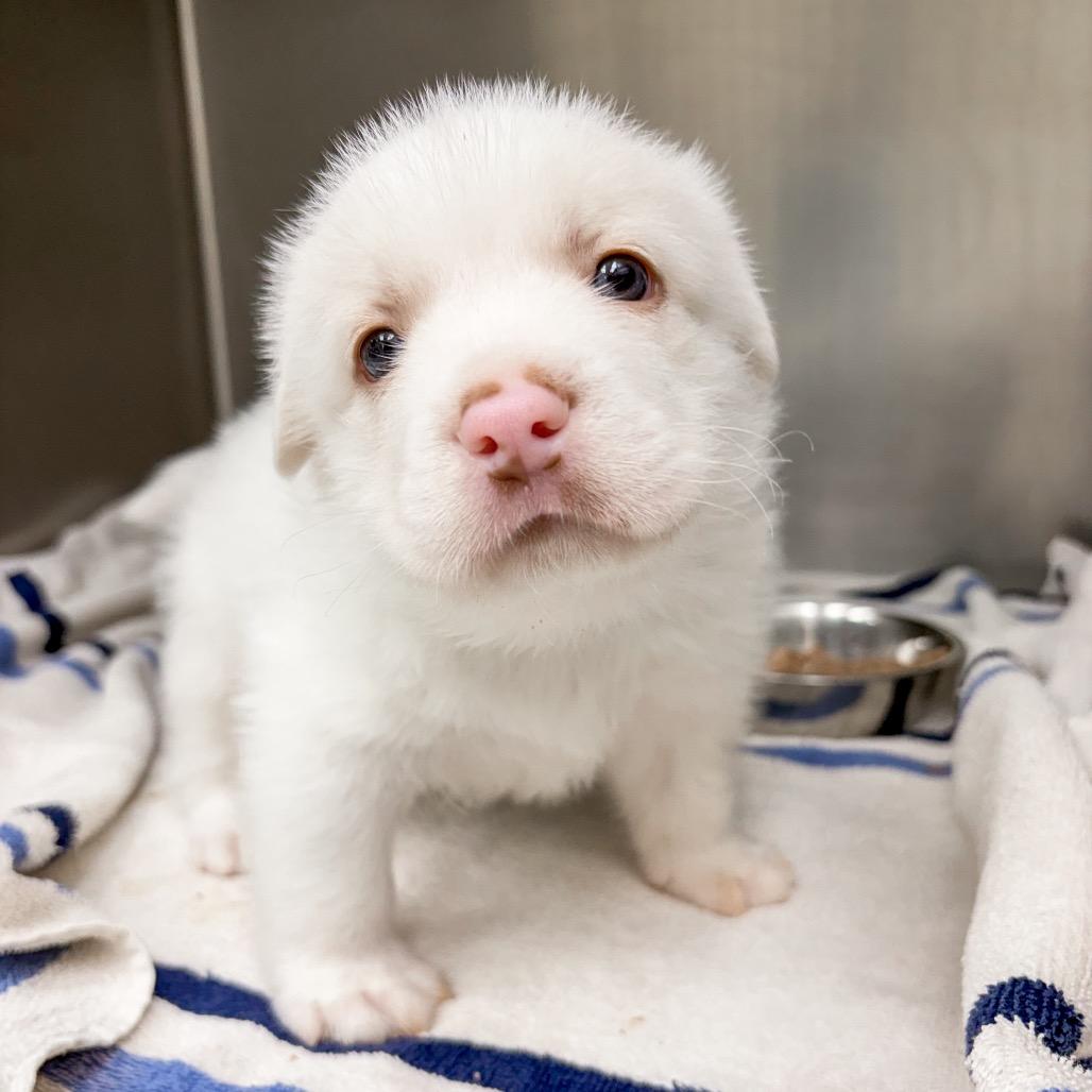 Frostbite thumbnail 7