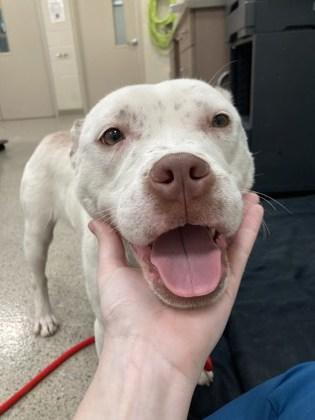 Polar — thumbnail 2