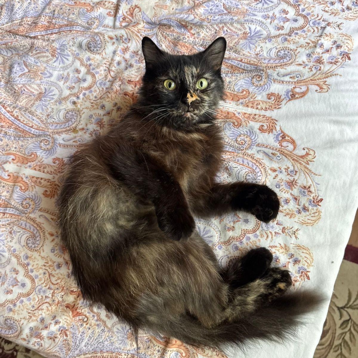 Yulia- super funny girl !