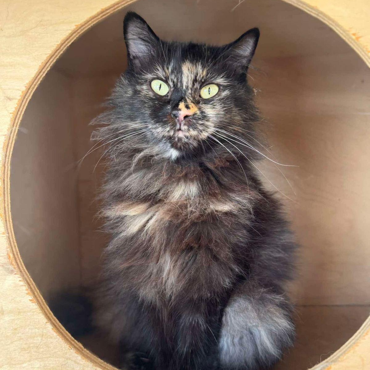 Yulia- super funny girl !