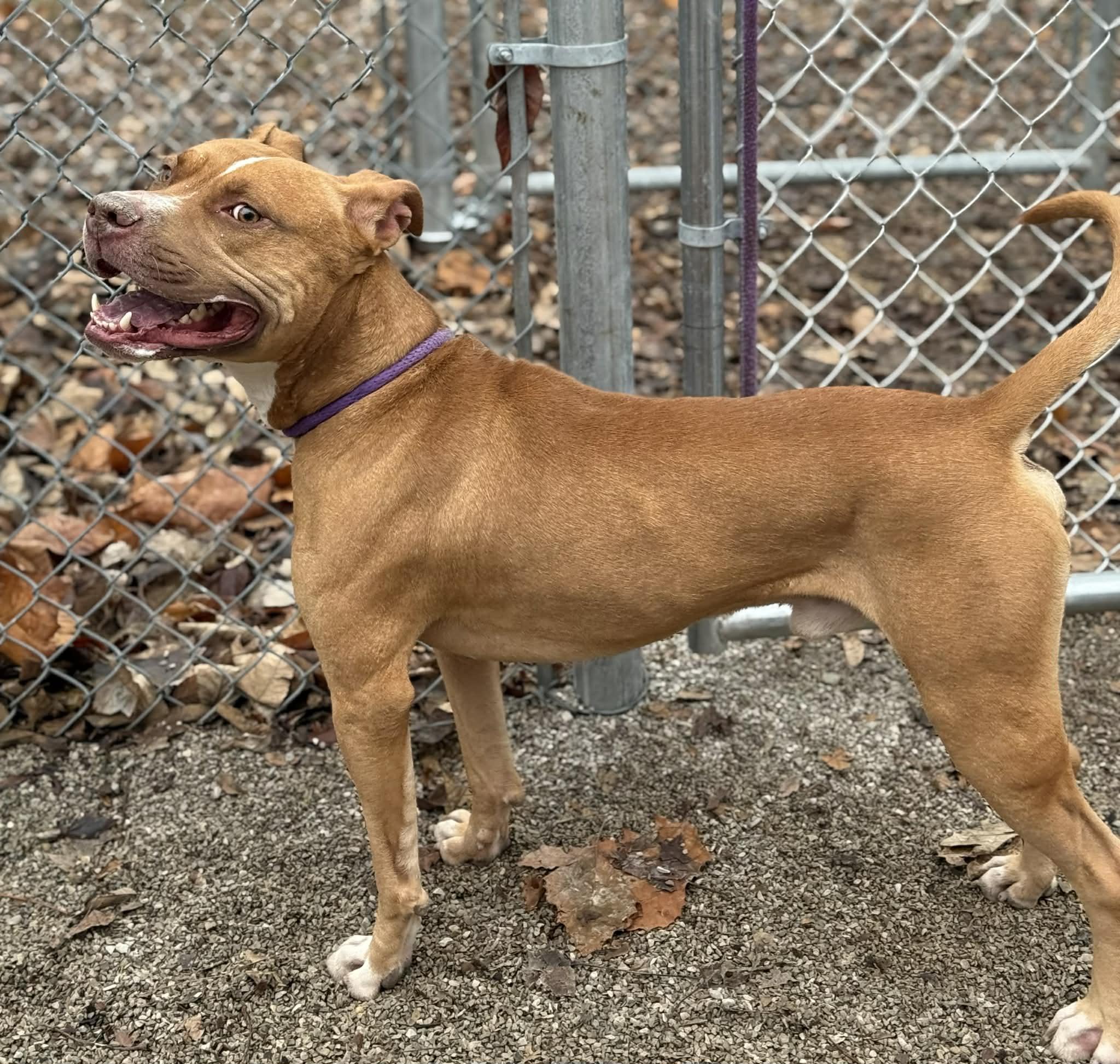 Kristoff thumbnail 3