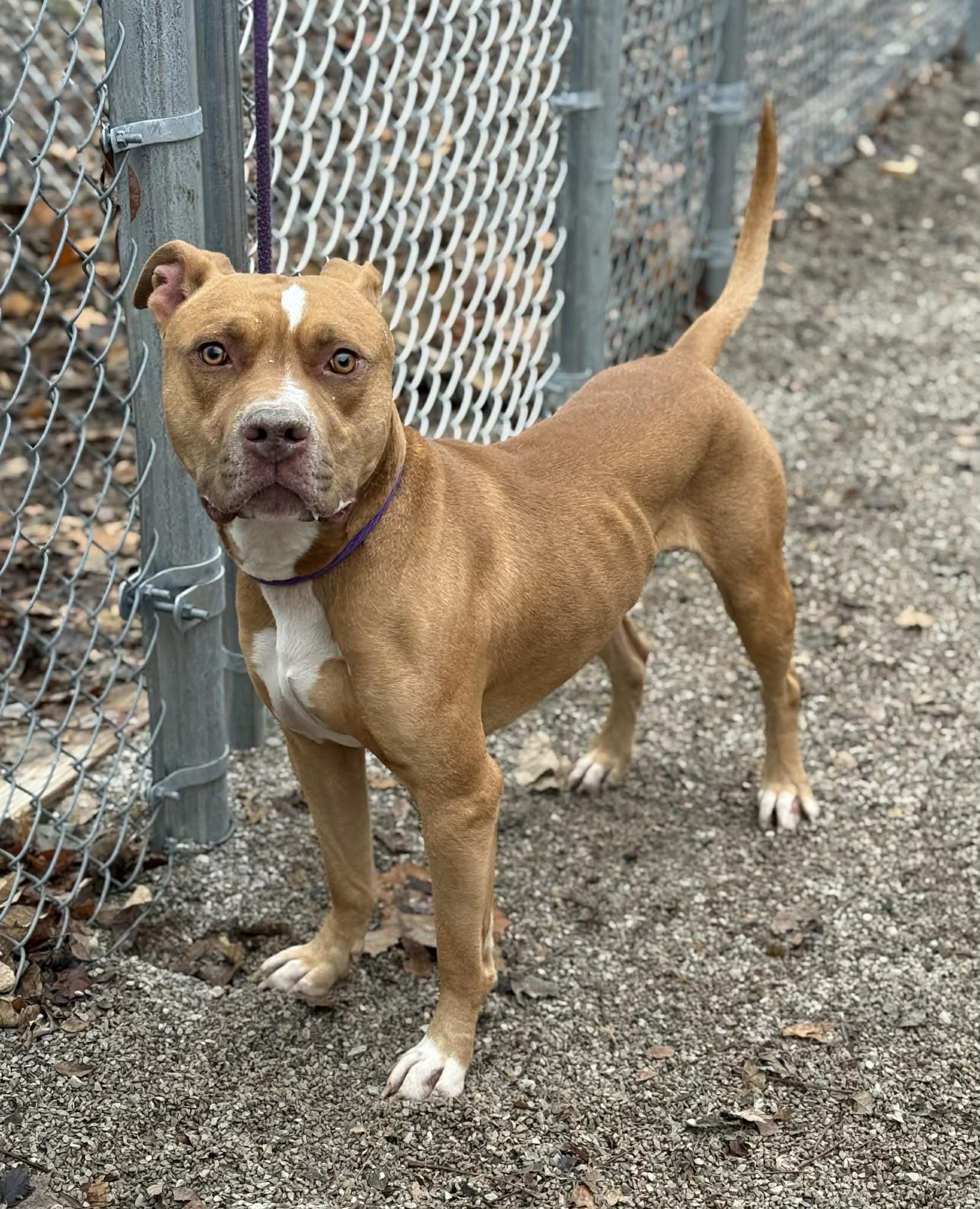 Kristoff thumbnail 2