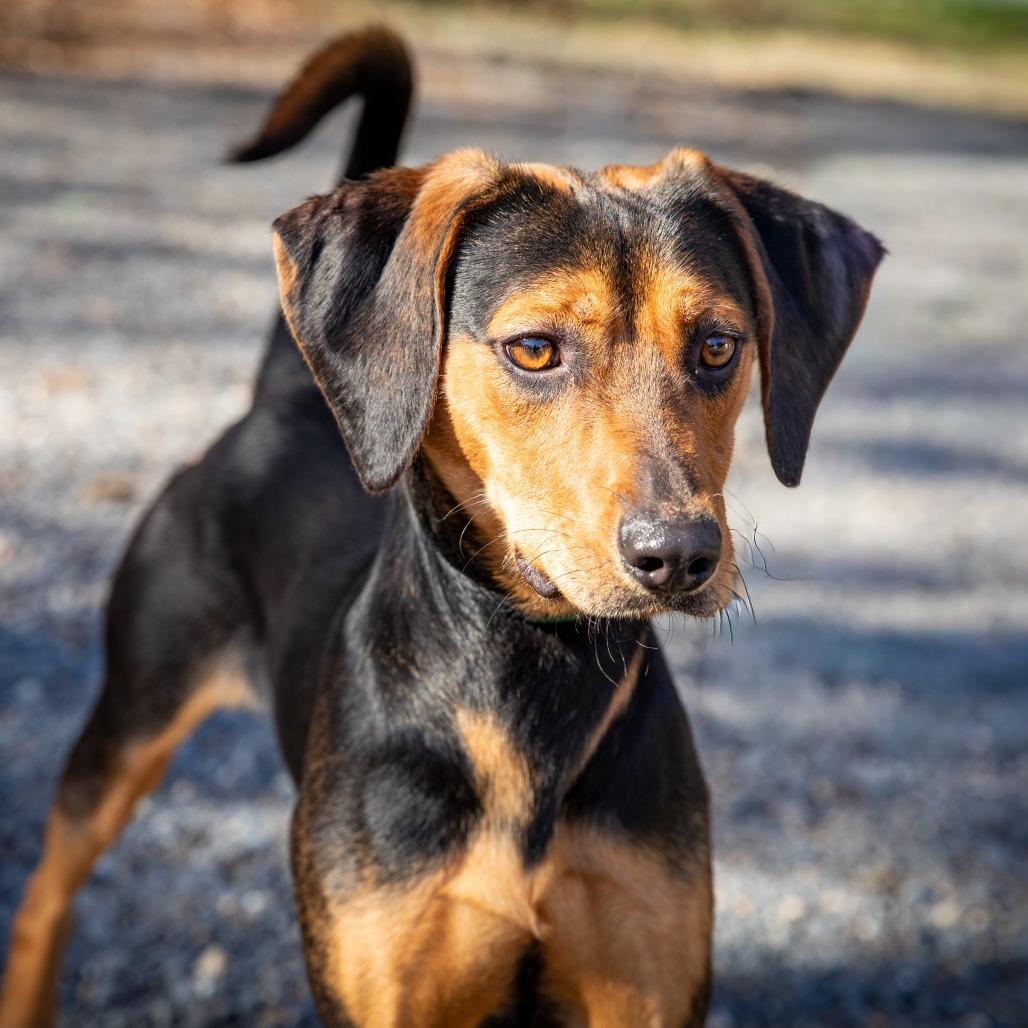 Beetlejuice  Beetlejuice 
