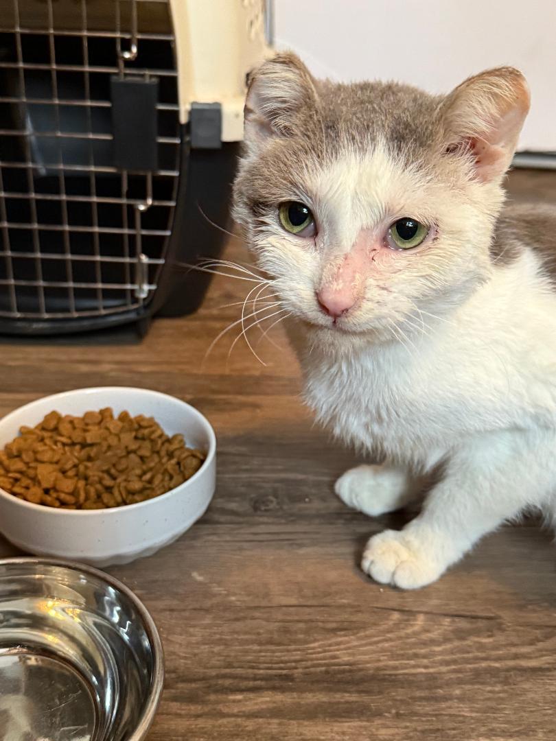 Glenford — thumbnail 2