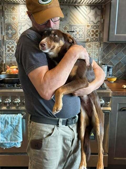 Lacy (CP) — thumbnail 4