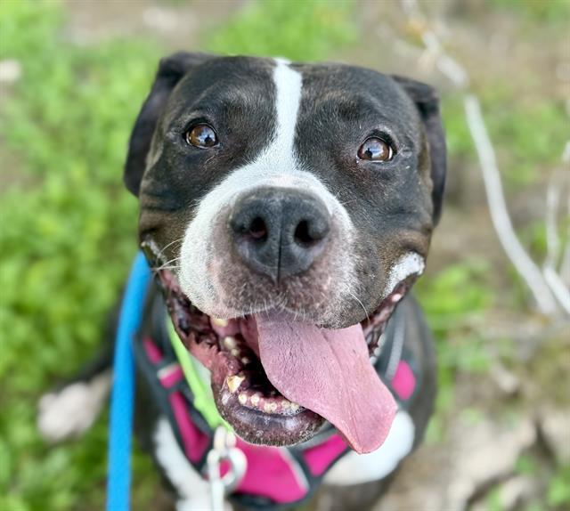 COLOMBIA* — thumbnail 2