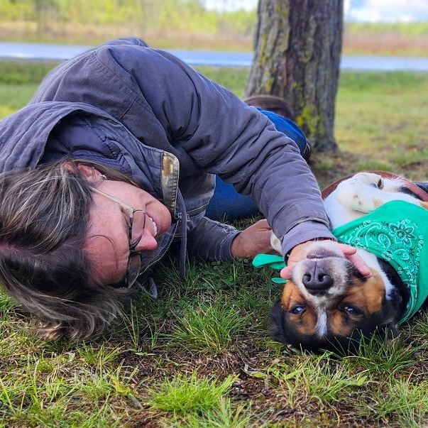 Buddy, Adoptable, Adult Male Mixed Breed.