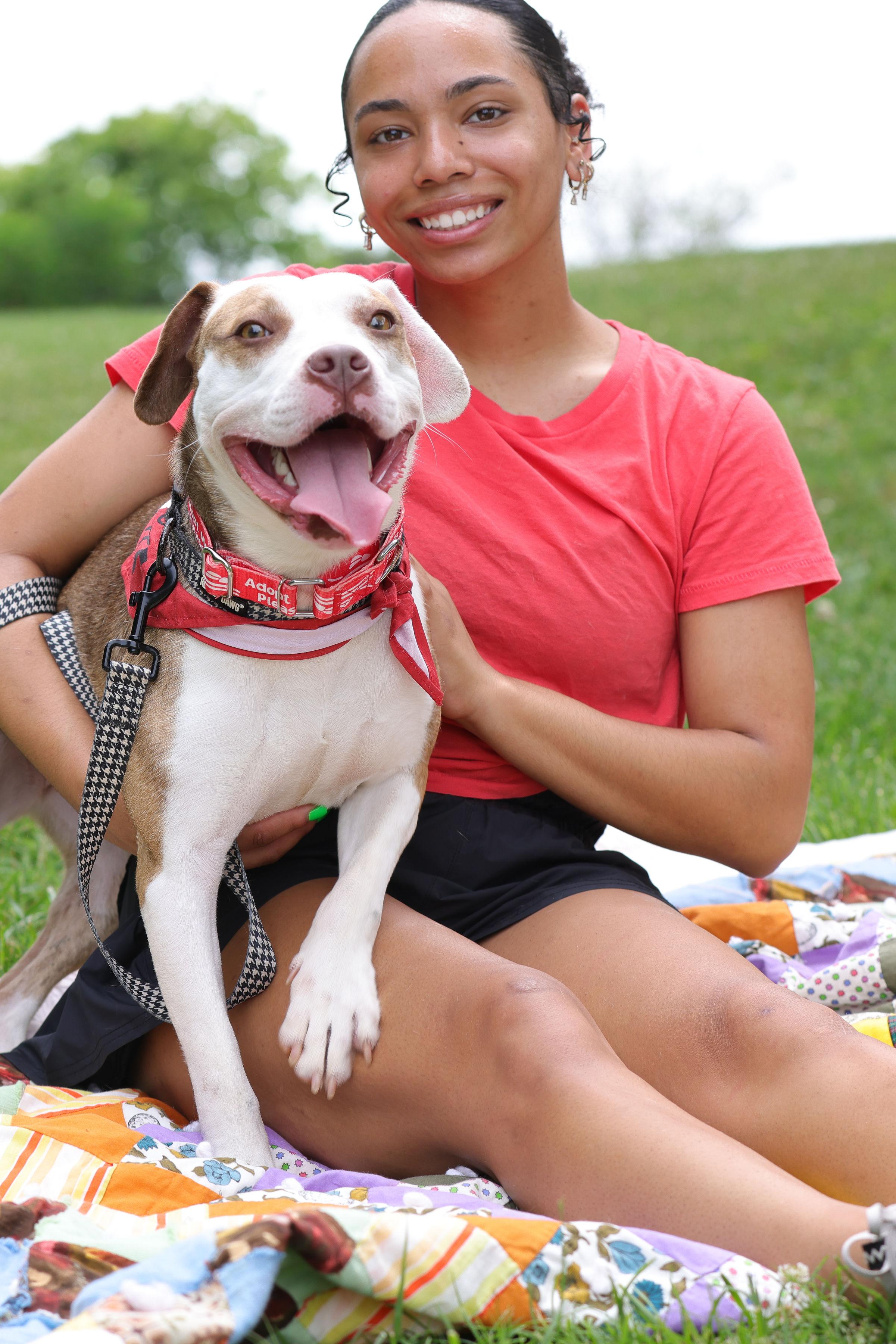 Enlarge Zoey, a ADOPTABLE mixed breed in Denver, NC image 2/6