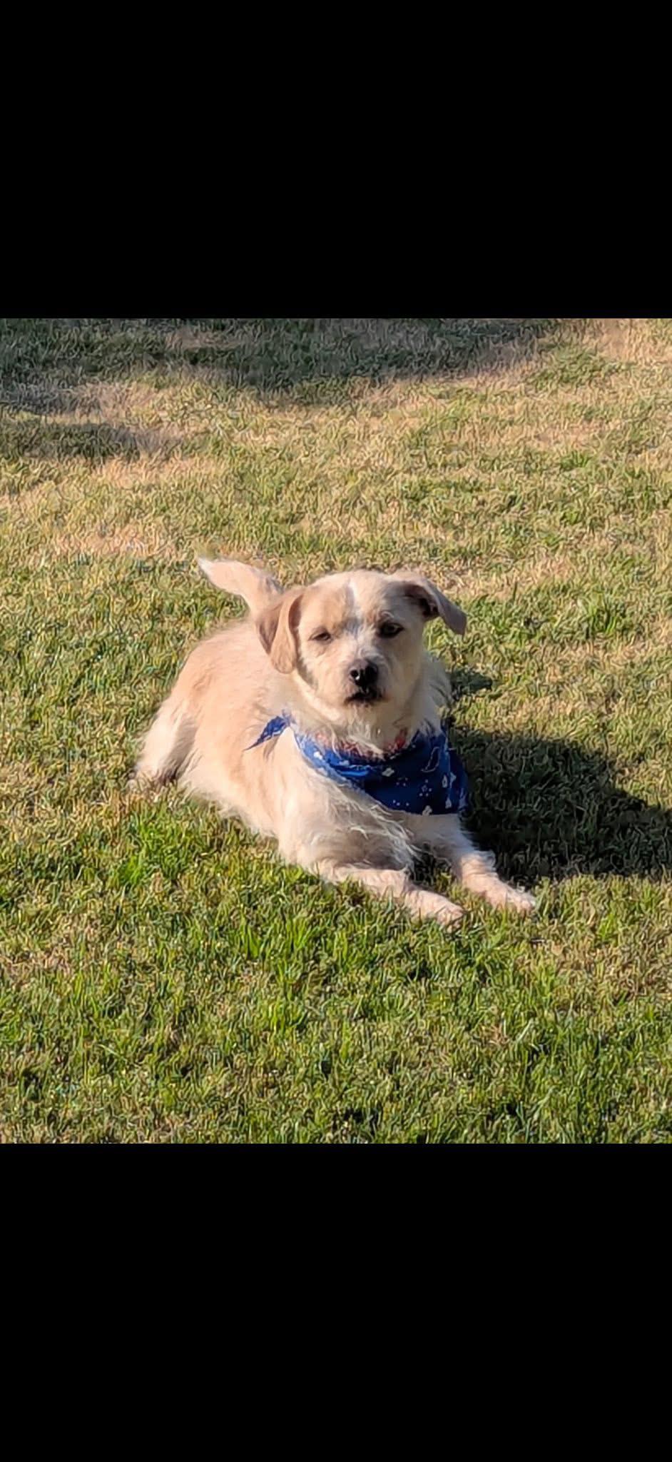 Floyd — thumbnail 2