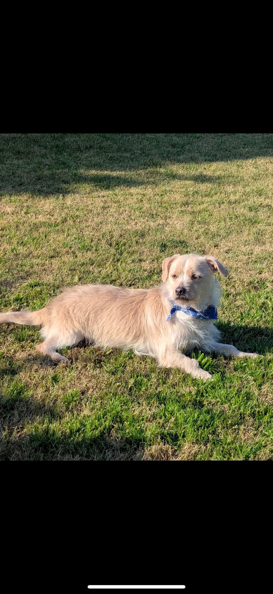 Floyd — thumbnail 3