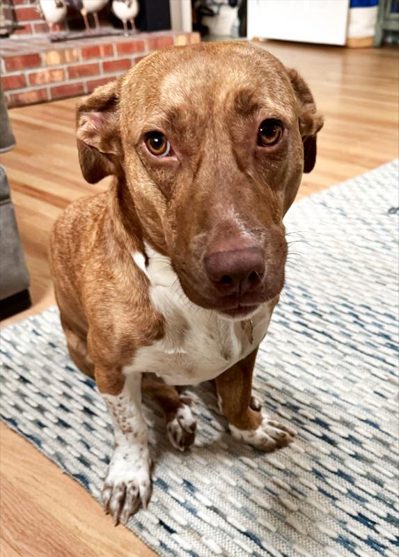 Maggie photo 4