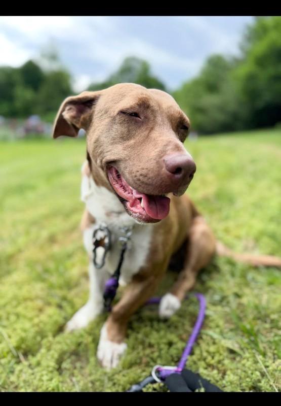 Maggie