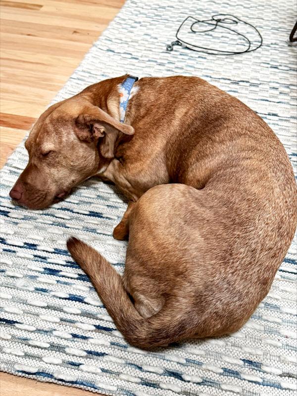 Maggie photo 6