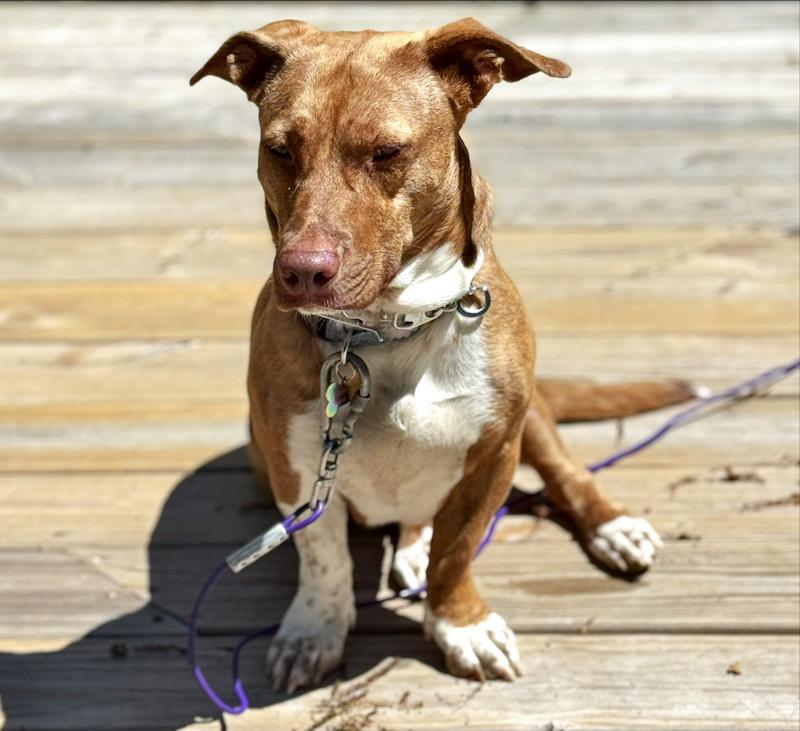 Maggie photo 2