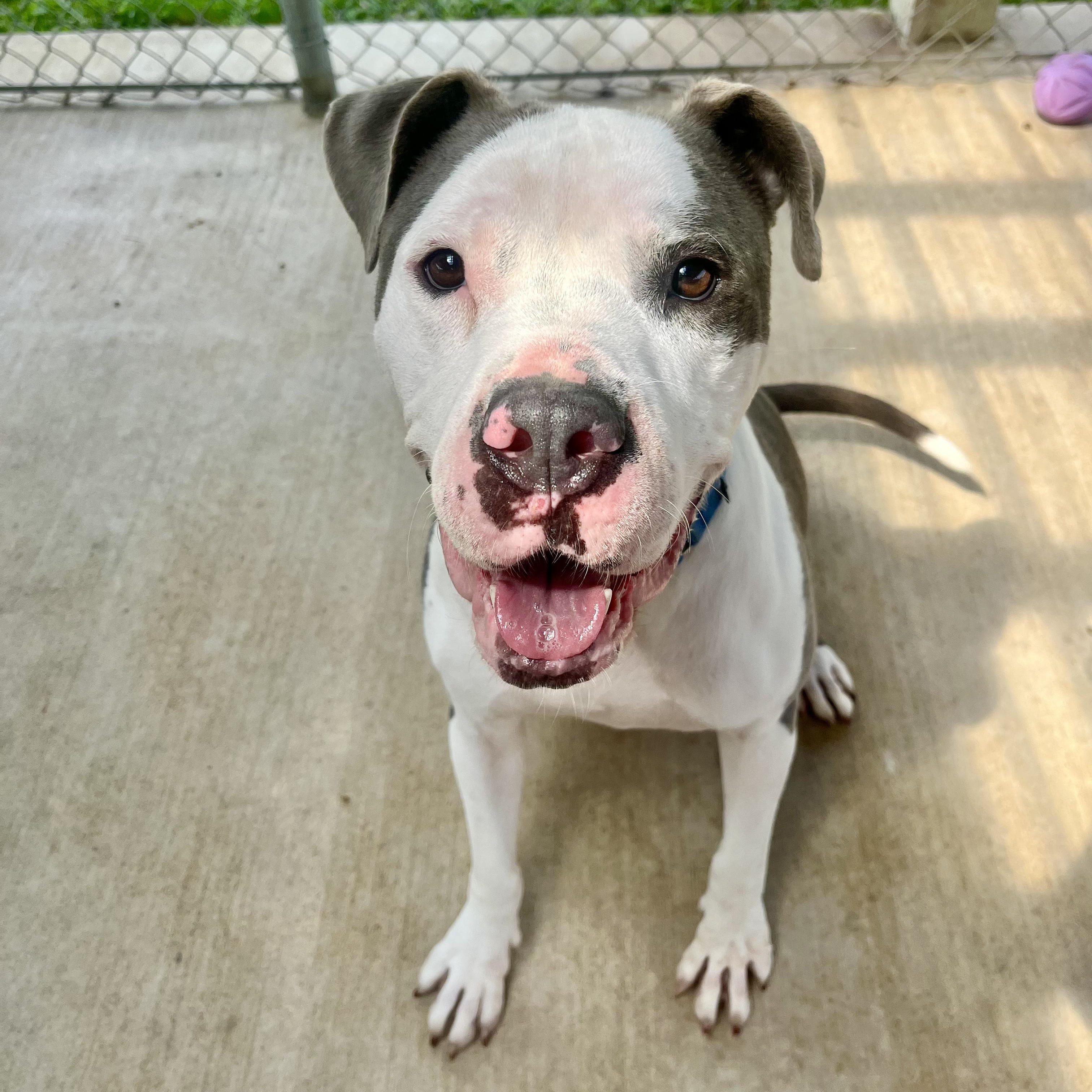 Ricky — thumbnail 2