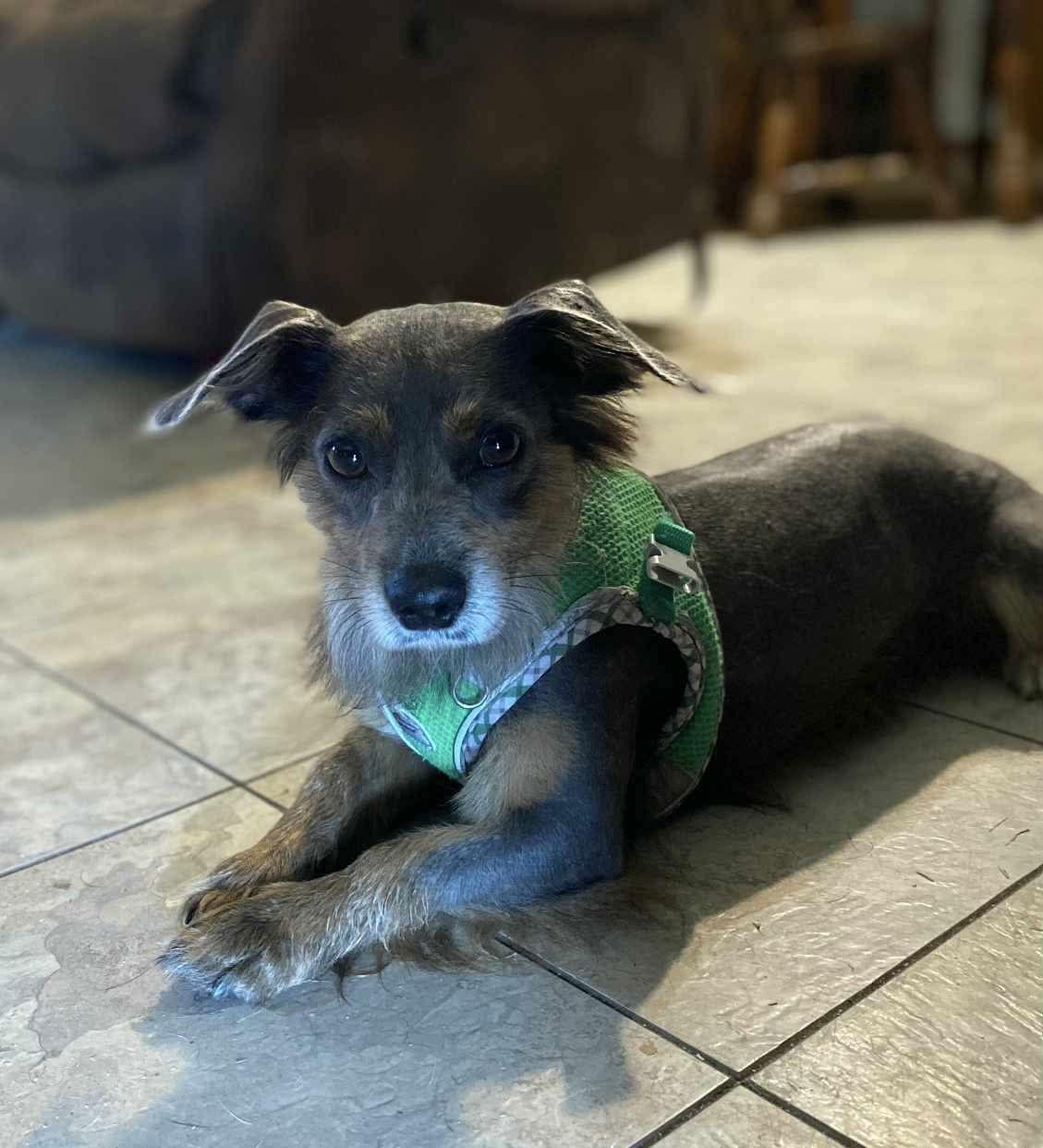 Cain Such A Cutie! thumbnail 3