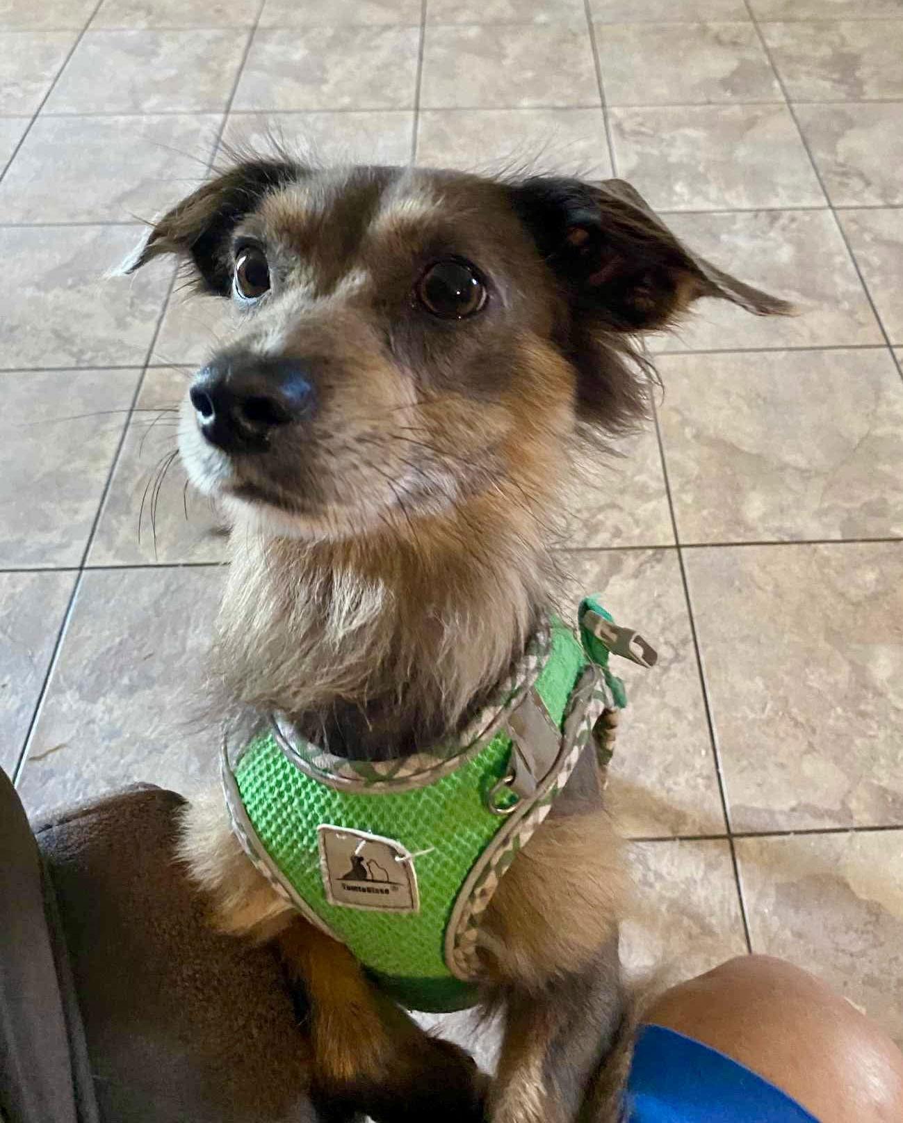 Cain Such A Cutie! thumbnail 4