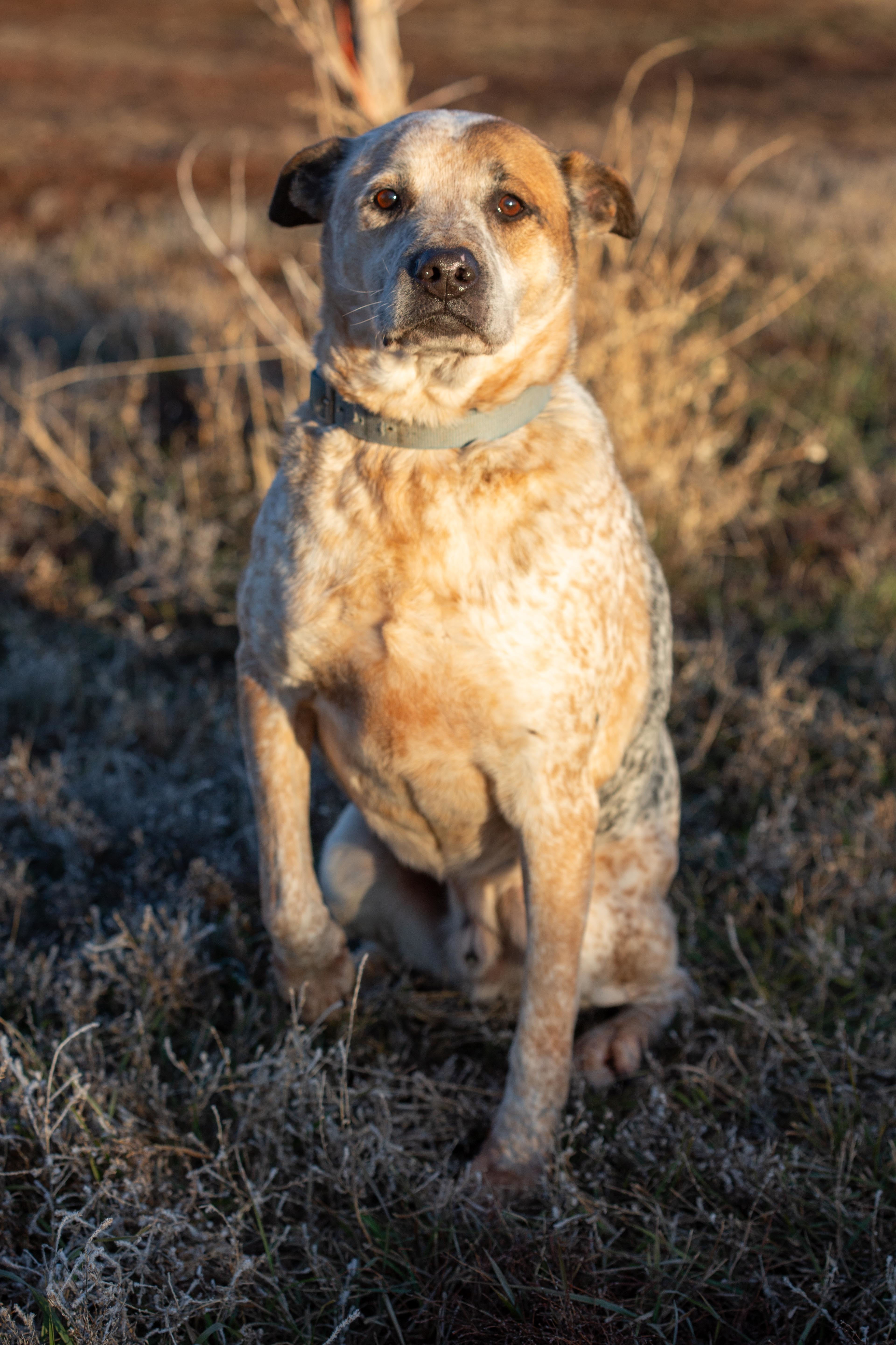 Max photo 5