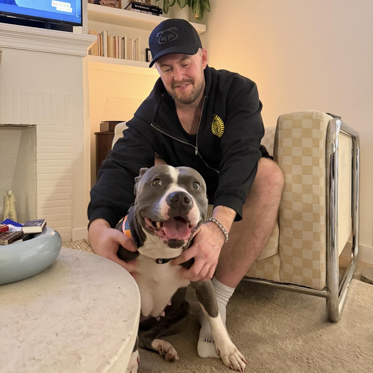 Enlarge Maggie, a ADOPTABLE mixed breed in Los Angeles, CA image 1/6