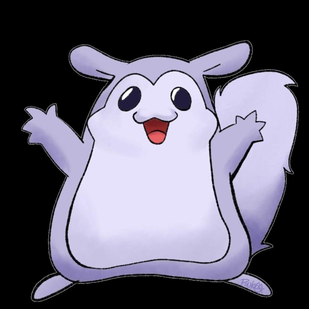 Chuck, Adopted, Young Male Chinchilla.