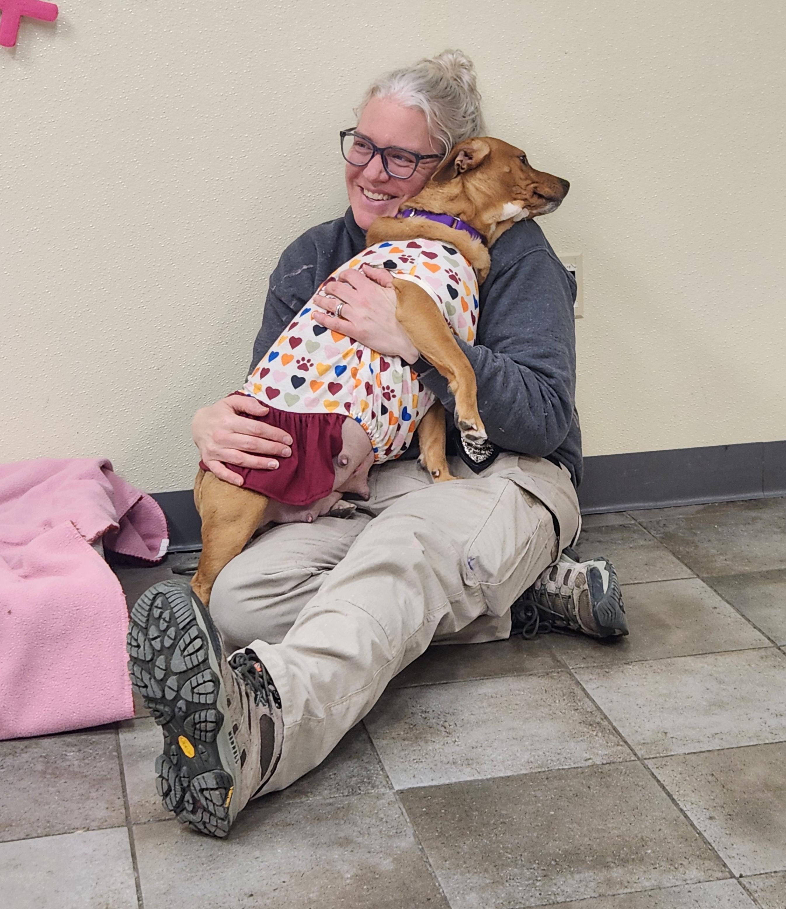 Destiny, a ADOPTABLE mixed breed in Sewaren, NJ image 2/5