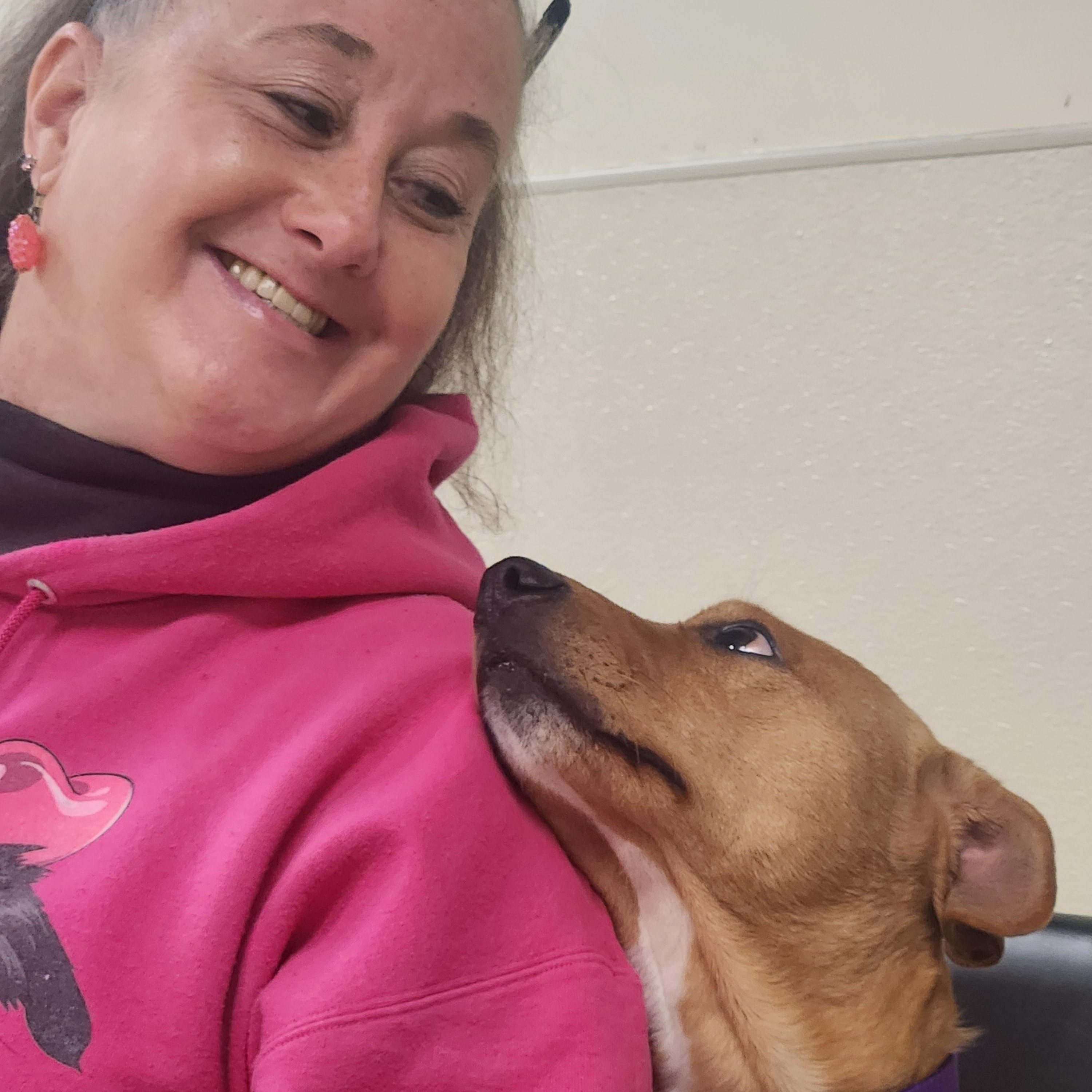 Destiny, a ADOPTABLE mixed breed in Sewaren, NJ image 5/5