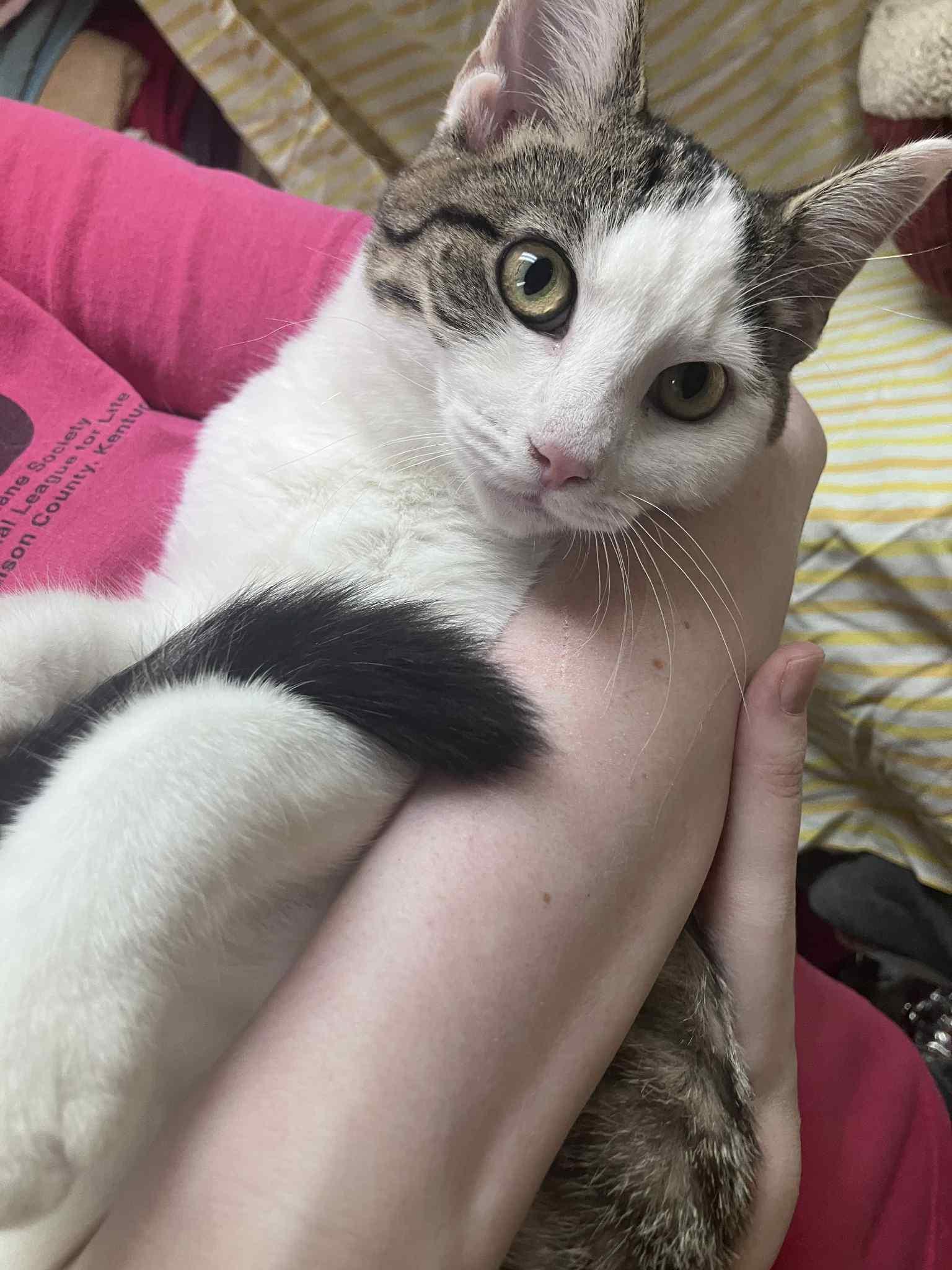 Mercedes thumbnail 2