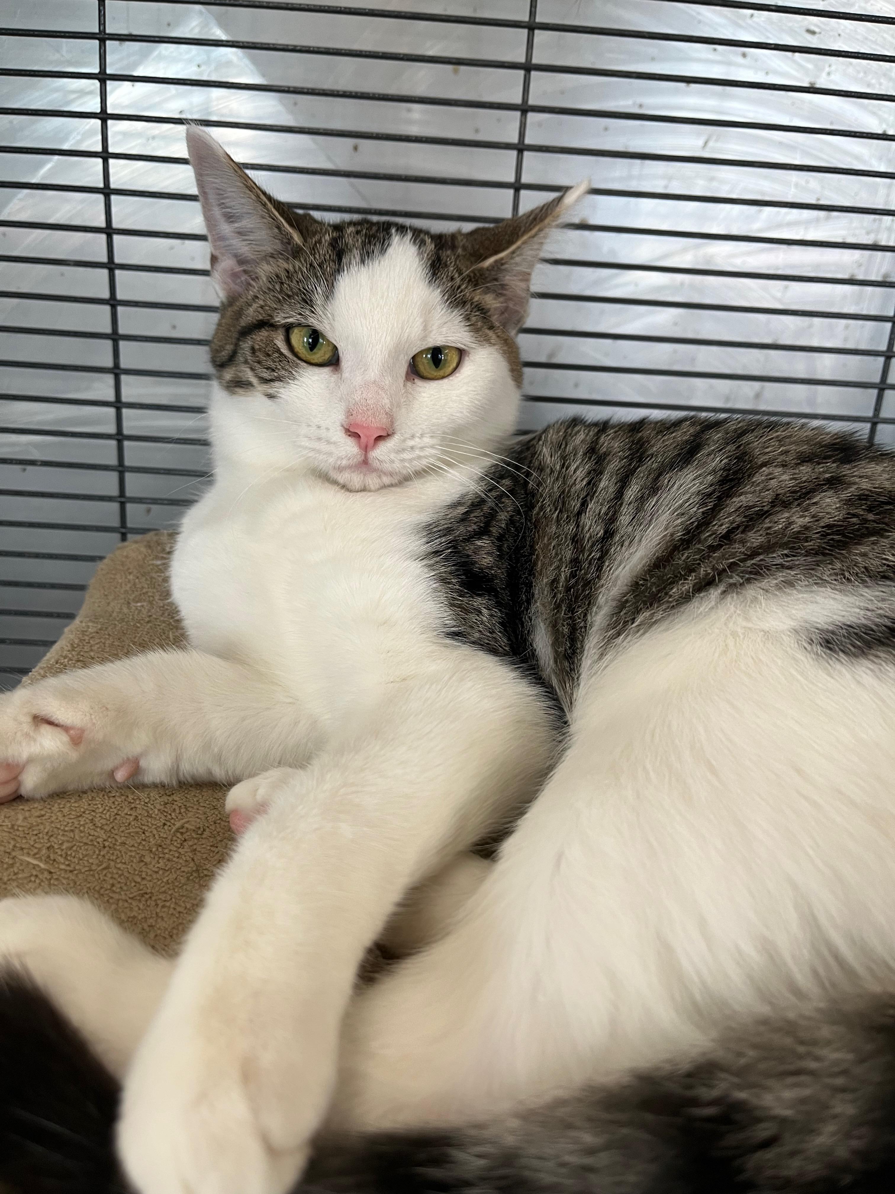 Mercedes thumbnail 5