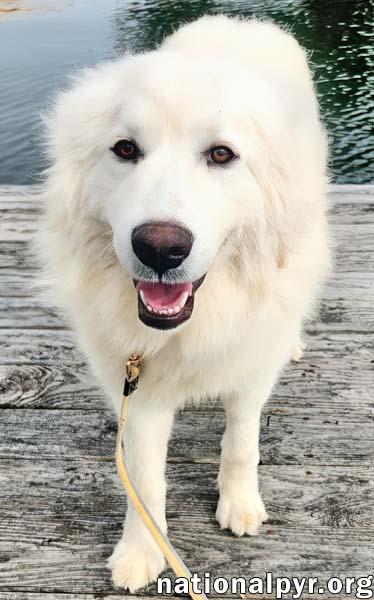 Kami in KY - Sweet & Playful! — thumbnail 2