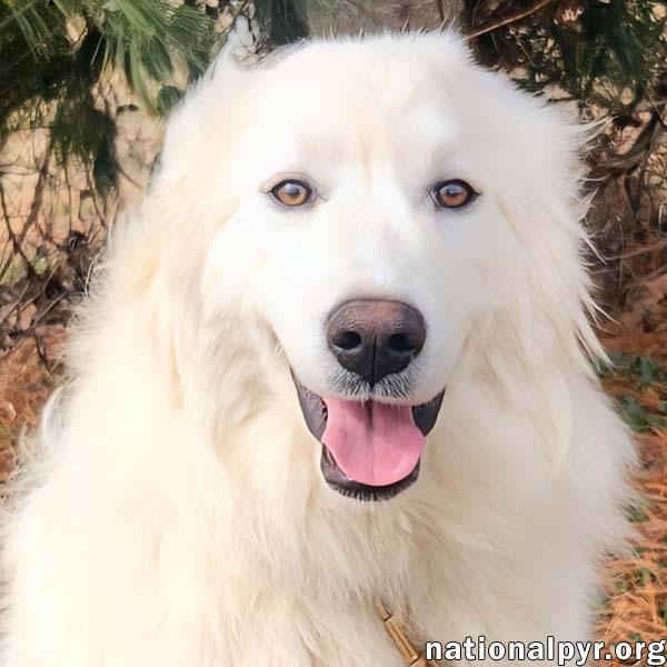 Kami in KY - Sweet & Playful! — thumbnail 3