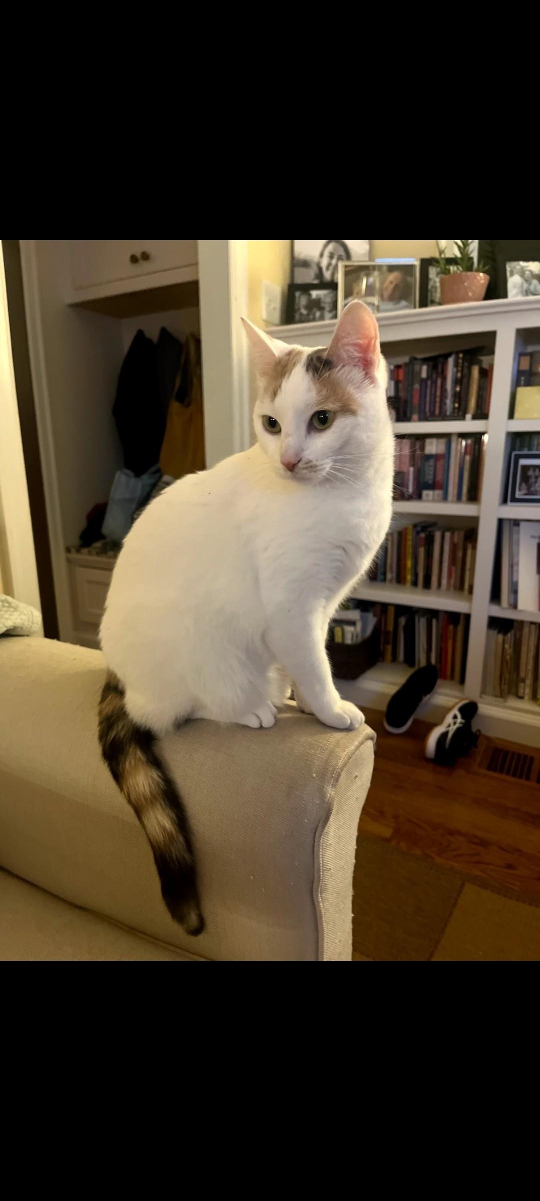 Precious thumbnail 5