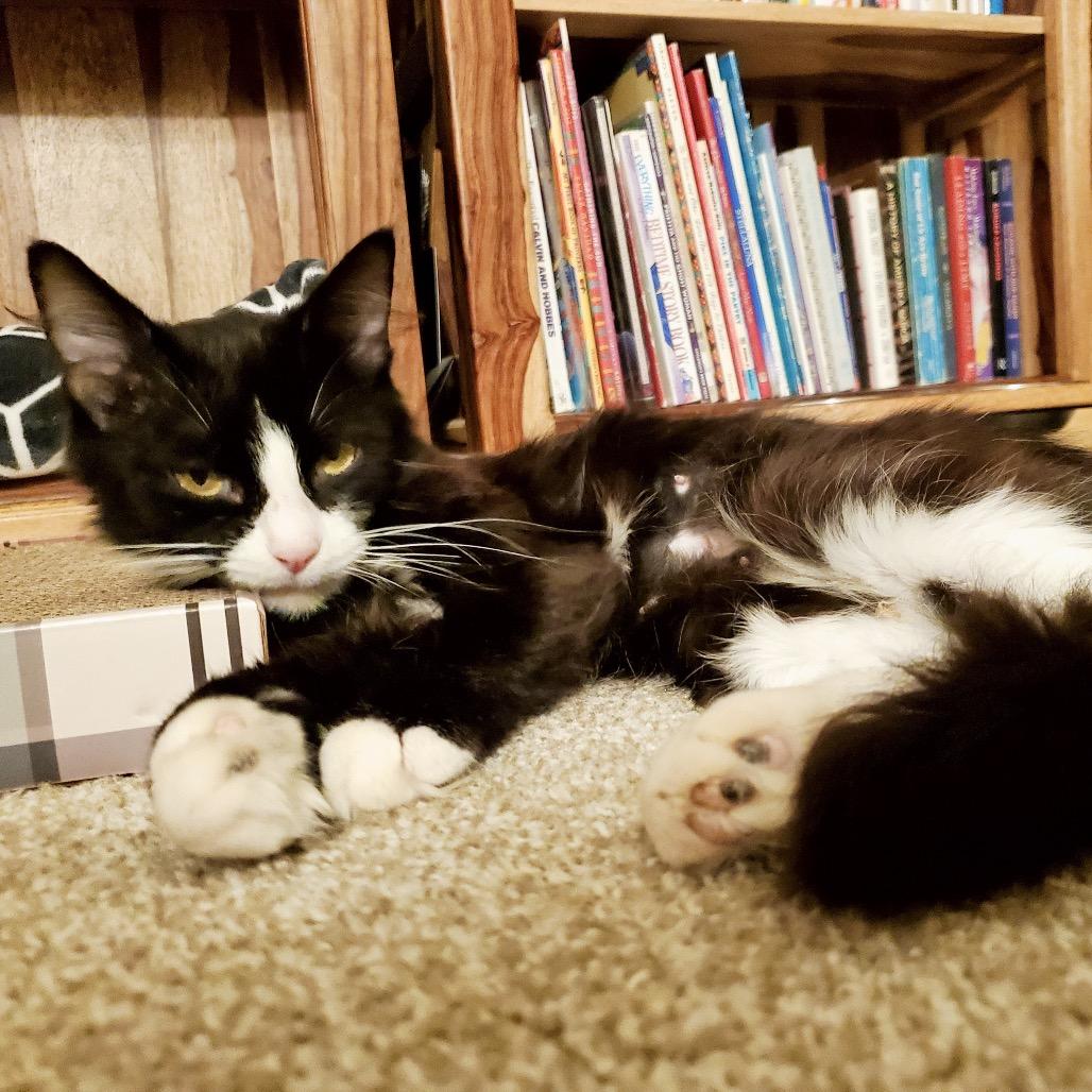 Prada, Young Female unknown