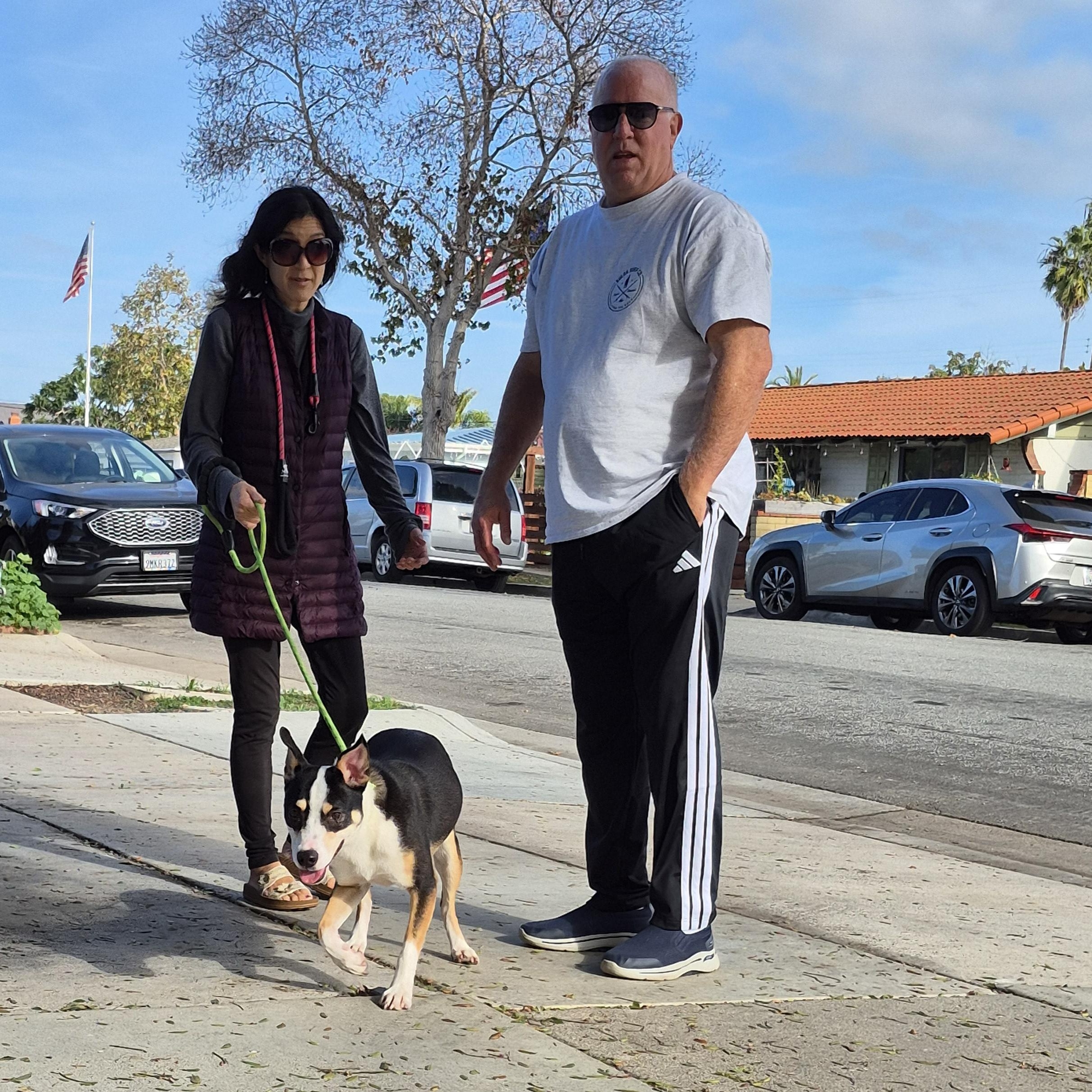 Cool Kelly Kelpie!! thumbnail 2