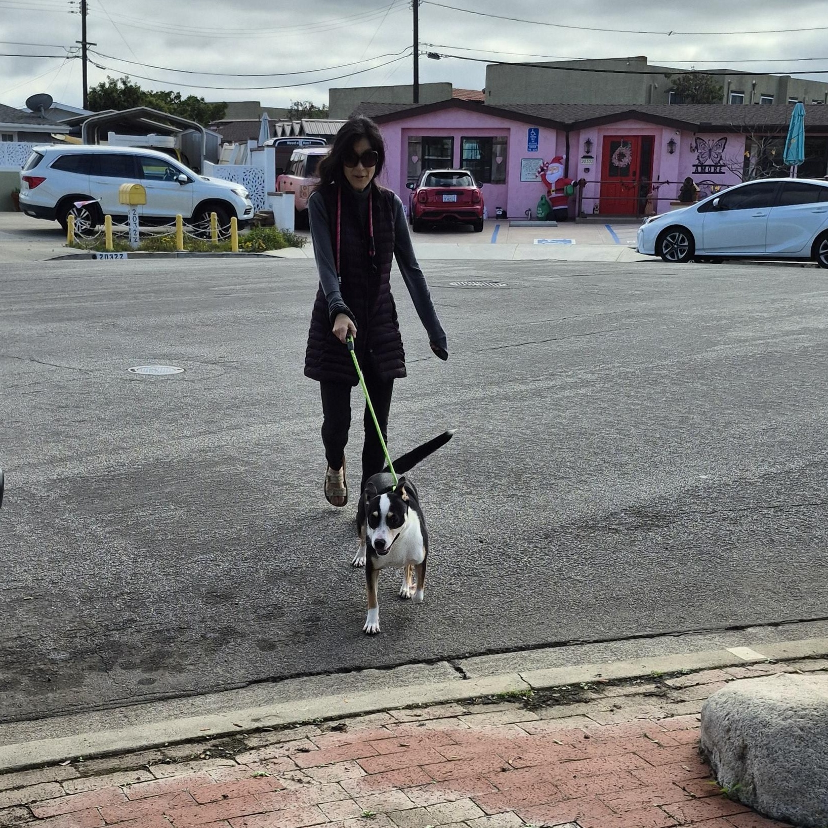 Cool Kelly Kelpie!! thumbnail 3